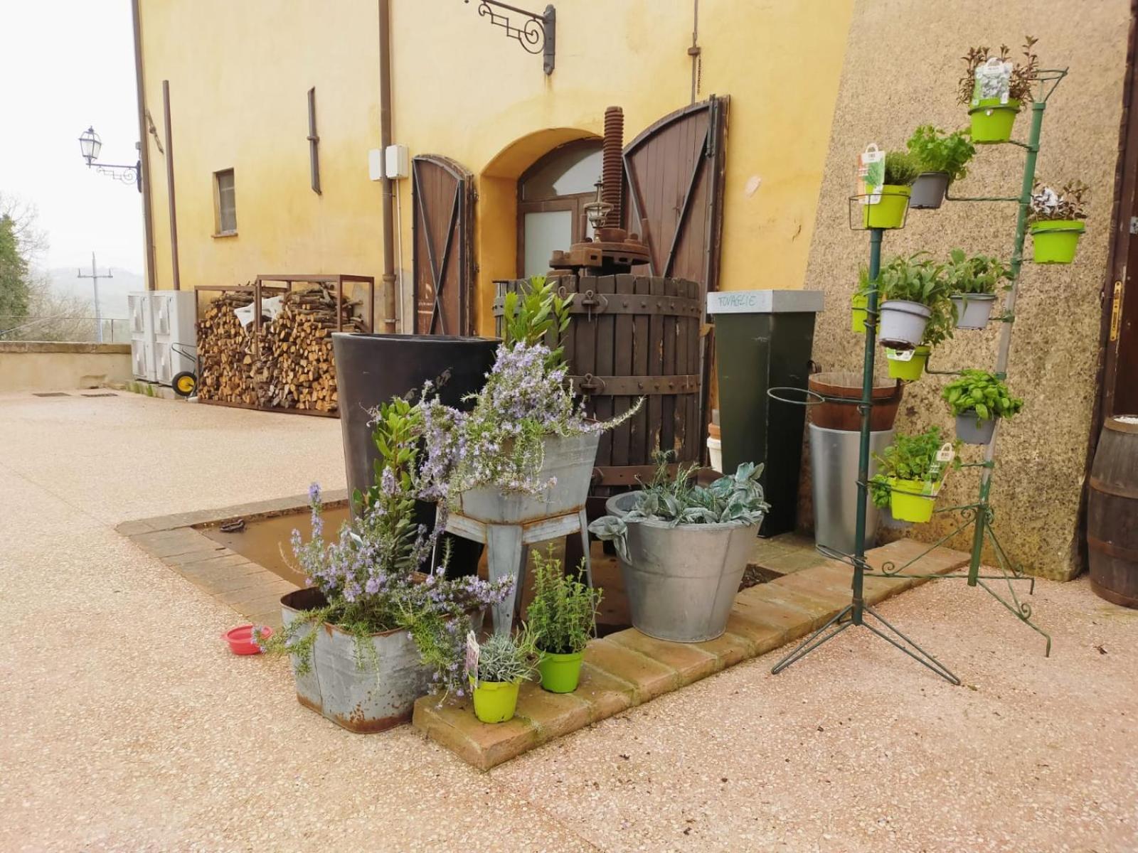 Locanda Di Casigliano Villa Casigliano  Bagian luar foto